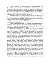 Asmenybės tikslai, perspektyvos, aspiracijos 3 puslapis