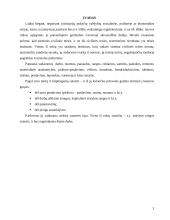 Atskiros statybų sutarčių rūšys 2 puslapis