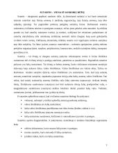 Atskiros statybų sutarčių rūšys 3 puslapis