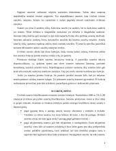 Atskiros statybų sutarčių rūšys 4 puslapis