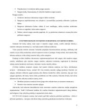 Atskiros statybų sutarčių rūšys 6 puslapis