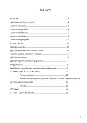 Atstovavimo teisė 2 puslapis