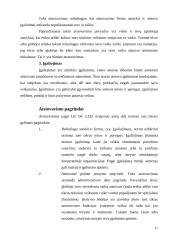 Atstovavimo teisė 11 puslapis