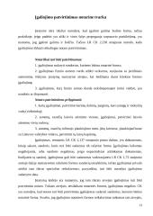 Atstovavimo teisė 13 puslapis