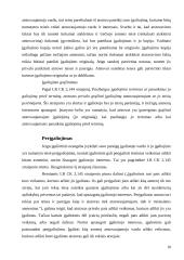 Atstovavimo teisė 18 puslapis