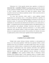 Atstovavimas. Atstovavimo taikymo sritys 4 puslapis