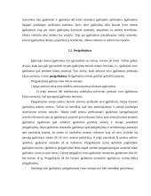 Atstovavimas. Atstovavimo taikymo sritys 7 puslapis