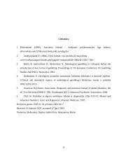 Azartiniai žaidimai ir emociniai pakitimai 11 puslapis