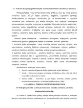 Azartiniai žaidimai ir emociniai pakitimai 5 puslapis