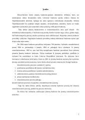 Bankroto ir restruktūrizavimo proceso ypatumų lyginamoji analizė 2 puslapis