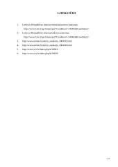 Bankroto ir restruktūrizavimo proceso ypatumų lyginamoji analizė 17 puslapis