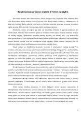 Baudžiamojo proceso samprata 2 puslapis