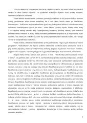 Baudžiamojo proceso samprata 3 puslapis