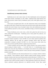 Baudžiamojo proceso samprata 4 puslapis