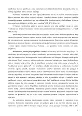 Baudžiamojo proceso samprata 5 puslapis