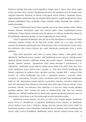 Baudžiamojo proceso samprata 6 puslapis