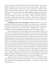 Baudžiamojo proceso samprata 7 puslapis