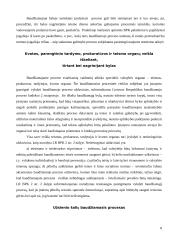 Baudžiamojo proceso samprata 8 puslapis