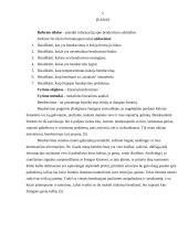 Informacija apie bendravimo subtilybes 2 puslapis