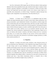Informacija apie bendravimo subtilybes 13 puslapis