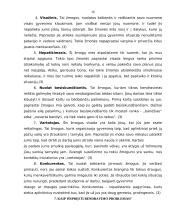 Informacija apie bendravimo subtilybes 16 puslapis