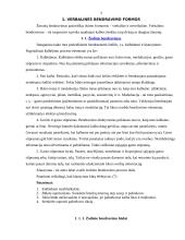Informacija apie bendravimo subtilybes 3 puslapis