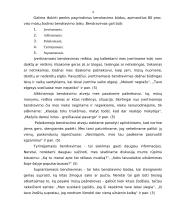 Informacija apie bendravimo subtilybes 4 puslapis