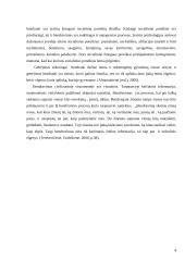 Bendravimas ir asmenybių skirtumai 4 puslapis