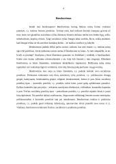 Bendravimas ir konfliktai 4 puslapis