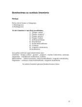 Bendravimas ir temperamentas 9 puslapis