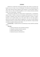 Bendravimo įgūdžių svarba vadybininko profesinėje veikloje 3 puslapis