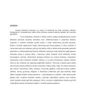 Bendrosios informacijos apsaugos priemonės 3 puslapis
