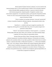 Bendrosios informacijos apsaugos priemonės 8 puslapis