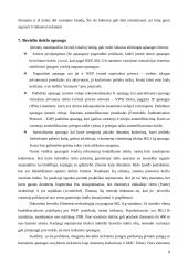 Bevielis interneto ryšys 8 puslapis