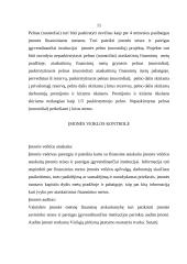 Biudžetinių ir savivaldybės įstaigų steigimo ypatumai 11 puslapis