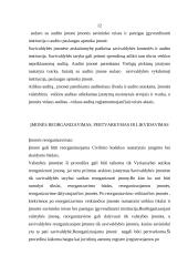 Biudžetinių ir savivaldybės įstaigų steigimo ypatumai 12 puslapis