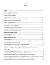 Civilinė atsakomybė ir jos rūšys 2 puslapis