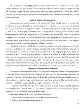 Civilinė atsakomybė ir jos rūšys 13 puslapis