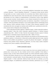 Civilinė atsakomybė ir jos rūšys 4 puslapis