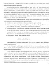 Civilinė atsakomybė ir jos rūšys 6 puslapis