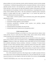 Civilinė atsakomybė ir jos rūšys 7 puslapis