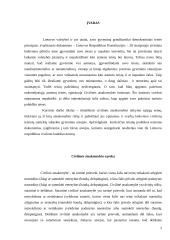 Civilinės atsakomybės formos ir taikymo sąlygos 2 puslapis