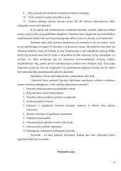 Civilinės atsakomybės formos ir taikymo sąlygos 13 puslapis