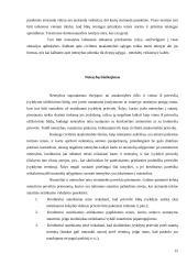 Civilinės atsakomybės formos ir taikymo sąlygos 15 puslapis