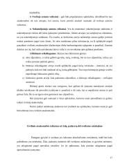 Civilinės atsakomybės formos ir taikymo sąlygos 17 puslapis
