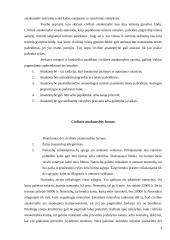 Civilinės atsakomybės formos ir taikymo sąlygos 3 puslapis