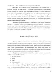 Civilinės atsakomybės formos ir taikymo sąlygos 4 puslapis
