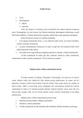 Civilinės atsakomybės formos ir taikymo sąlygos 7 puslapis