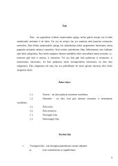 Civilinės atsakomybės formos ir taikymo sąlygos 9 puslapis