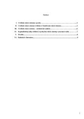 Civilinės teisės sistemos 2 puslapis